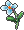 蝴蝶花.PNG