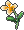 柠檬草.png