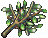 枞.png