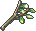 印度轻木.png